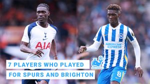 7 Players Who Played for Both Tottenham and Brighton