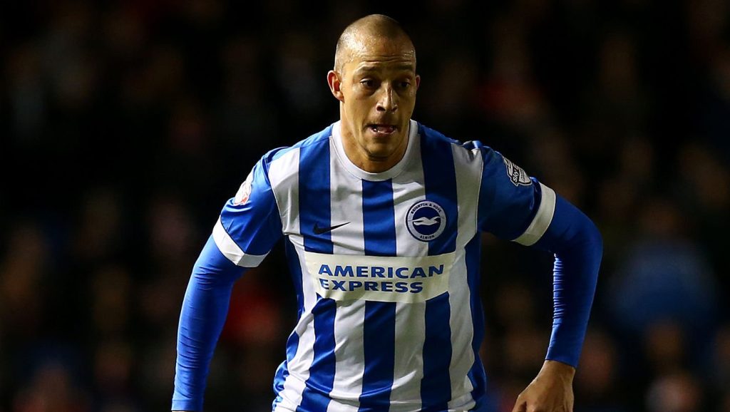 Bobby Zamora Brighton Sky Bet Championship Brighton and Hove Albion 2015
